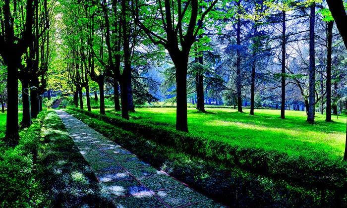 Hotel Terme Monticelli Terme Luaran gambar