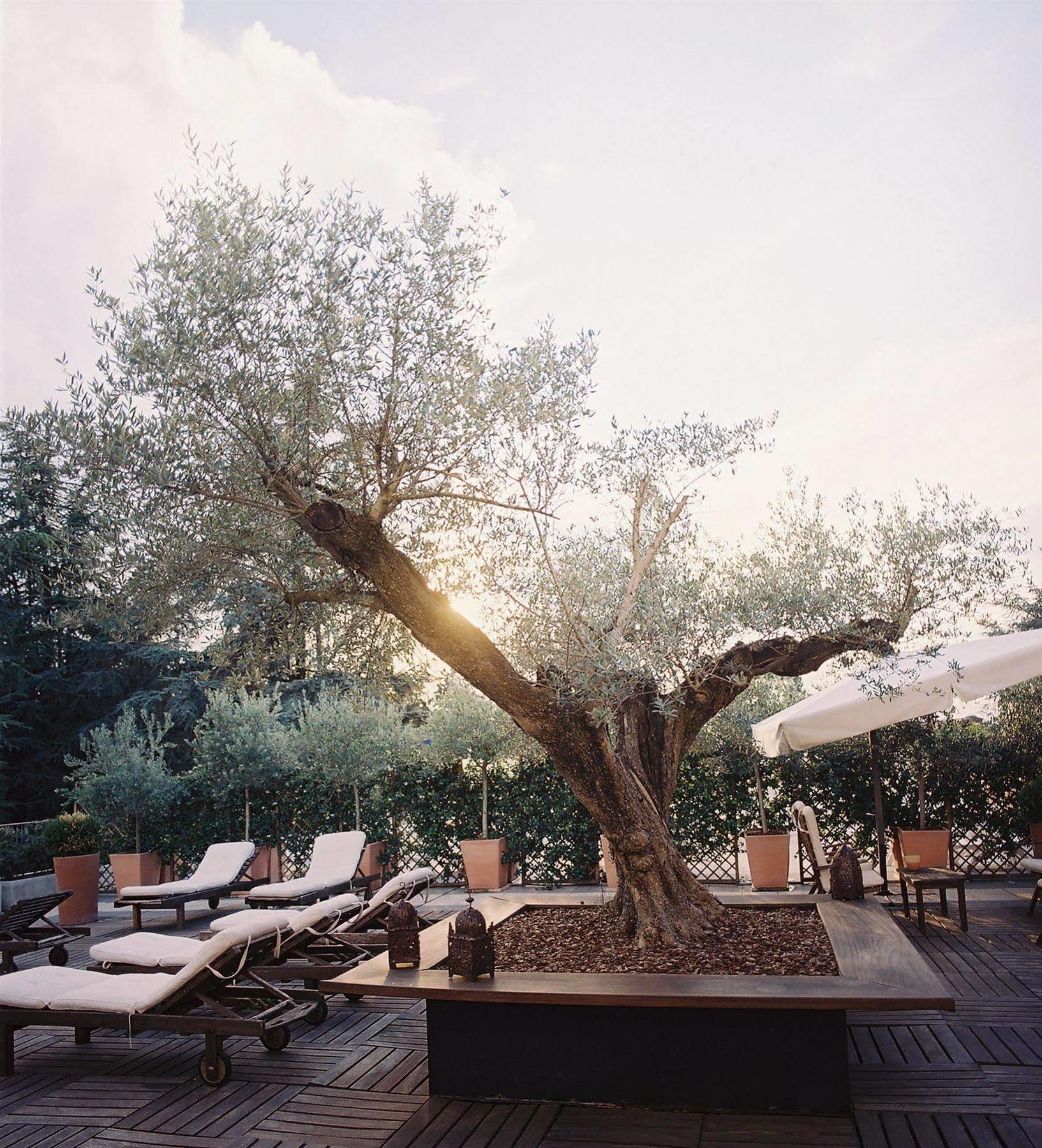 Hotel Terme Monticelli Terme Luaran gambar